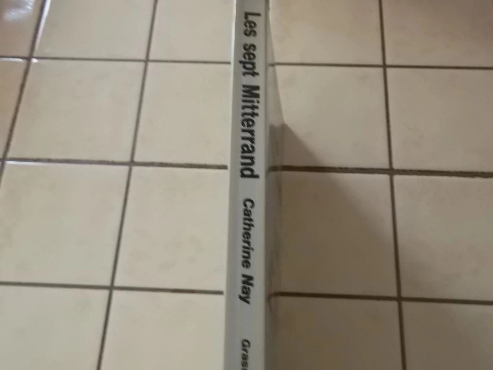 De zeven Mitterrand of de metamorfose van een zevenjarig mandaat – photo 2